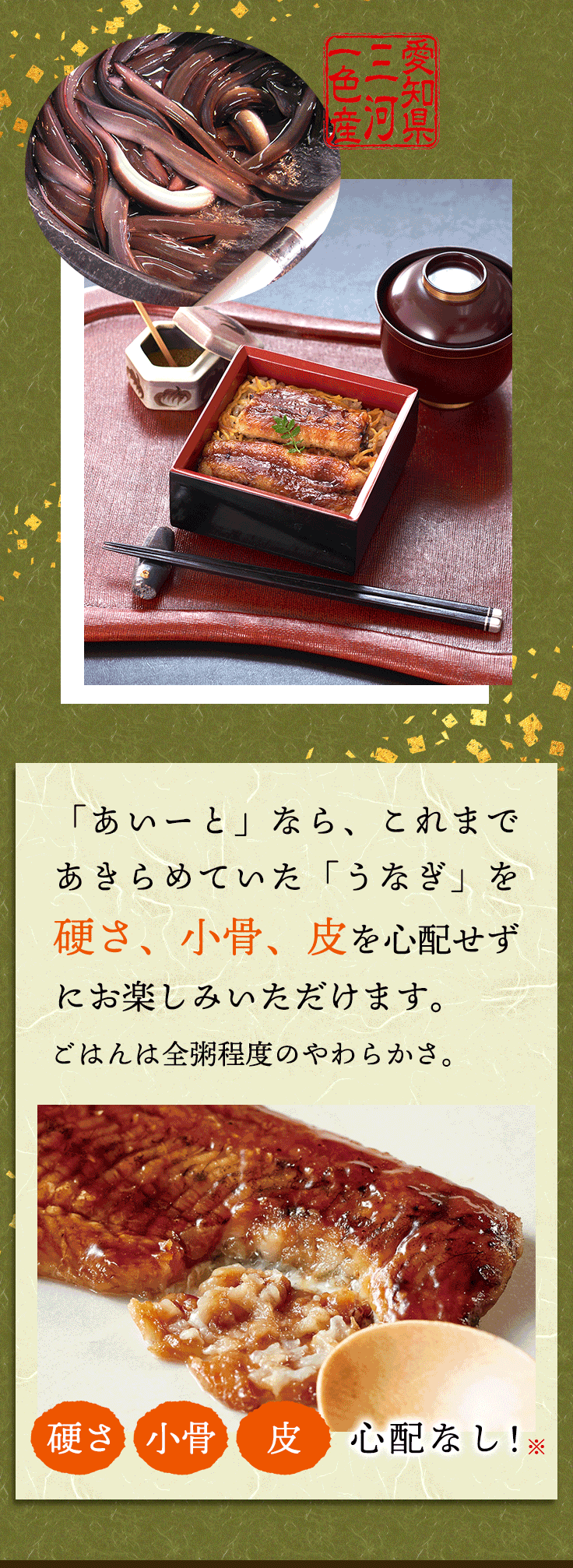 「あいーと」なら、これまであきらめていた「うなぎ」を硬さ、小骨、皮を心配せずにお楽しみいただけます。ごはんは全粥程度のやわらかさ。