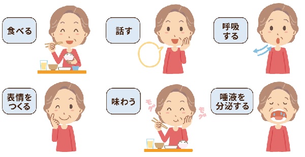 お口の 6 つの働き