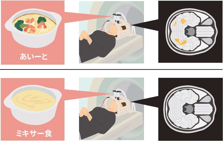 あいーとの見た目が脳活動を高め食欲増進に寄与する